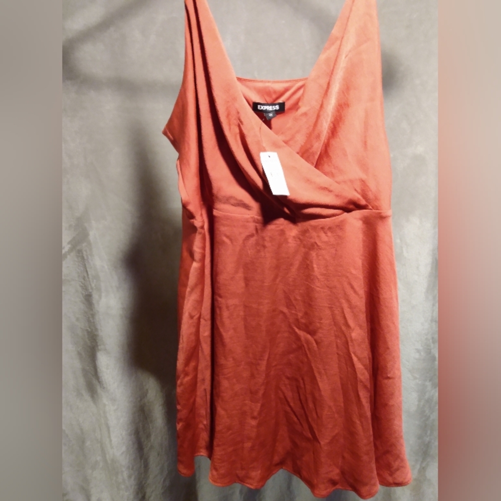 Coral Express Satin Dress